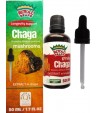 Ekstrakt z grzybów CHAGA - ROYAL BRAND 50 ml