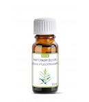 Olejek eteryczny - Eukaliptus Cytrynowy - Etja 10 ml