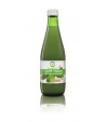 Sok z ogórka kiszonego NFC bezglutenowy BIO - Biofood 300 ml