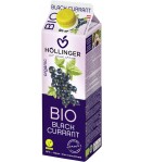 Nektar z CZARNEJ PORZECZKI BIO - HOLLINGER 1 l