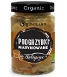 PODGRZYBKI marynowane BIO - RUNOLAND 300 g